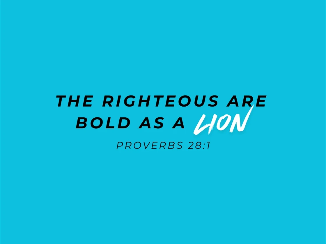 The righteous are bold as a lion. Proverbs 28:1